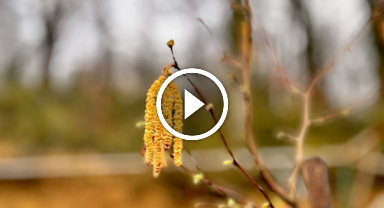 Fındık üreticilerini tedirgin eden açıklama!