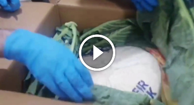 Karadeniz usulü kaçakçılık jandarmadan kaçmadı