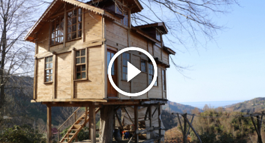 150 yıllık ağacın gövdesindeki evi görenler şaşırıyor!