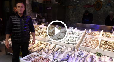 Balık çok alan yok  