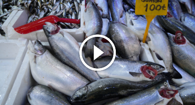 En ucuz protein kaynağı: "1 kilosuyla 3 kişi doyuyor"