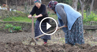 Gençler tarlaya girmiyor   