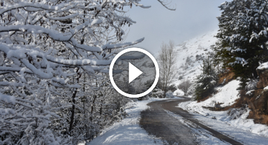 Giresun'un o ilçesindeki 12 köy yolunda ulaşıma kar engeli