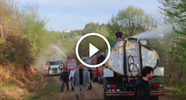 Giresun'da 80 dönümlük mera arazisi küle döndü!
