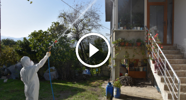 Kahverengi Kokarca tehdidine karşı 40 bin nokta ilaçlandı