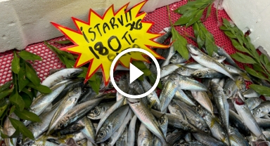 Avlanma yasağı olsa da tezgahlar balık çeşitleriyle dolu