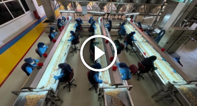 Türkiye'den 8 ayda 205 bin ton iç fındık ihraç edildi