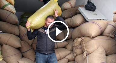 Fındığın en ağır yükünü onlar çekiyor