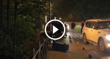 Aç kalan yavru ayı Uzungöl'e indi, görüntülemek için turistler sıraya girdi   