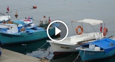 Balıkçılar, bu yıl palamutta bereketli bir sezon bekliyor