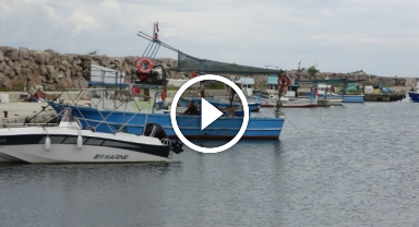 Giresun'da balıkçılar bu sezon palamuttan umutlu   