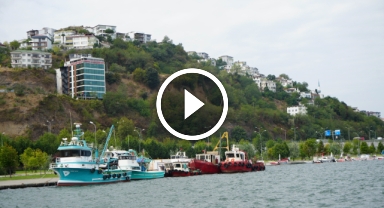 Balıkçıların 'hamsi kotası' endişesi: "Altınla yarışacak"