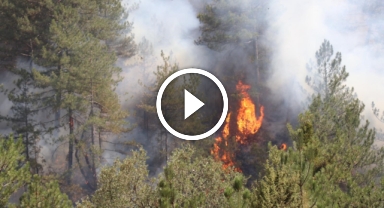 Bolu'da orman yangını 28'inci saatinde