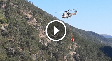 Bolu'da yanan alan böyle görüntülendi