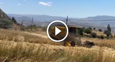 Giresun'un Şebinkarahisar İlçesinde Devletten Çiftçilere Ücretsiz Biçerdöver Desteği