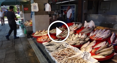 Karadeniz'de avlanan palamutlar tezgahları süslemeye başladı