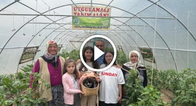 Yavuzkemal'de Örtü Altı Sebze Üretimi Yükseliyor