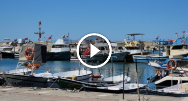 Yeni av sezonuna geri sayım başladı: Balıkçılar palamuttan umutlu