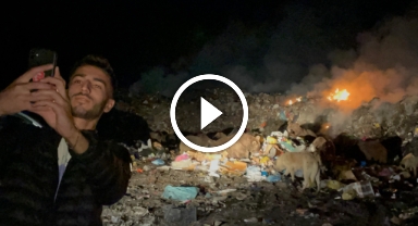 Ayılarla tehlikeli selfie   