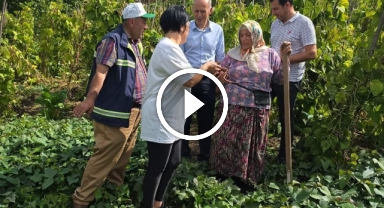 Giresun'da Kırmızı Tatlı Patates Üretiminde Yüz Güldüren Sonuçlar