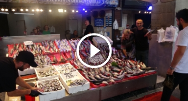 Her an kaybolabilir… Palamut avı hız kesti!