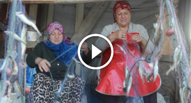 Ordulu kadın balıkçıların ekmek mücadelesi