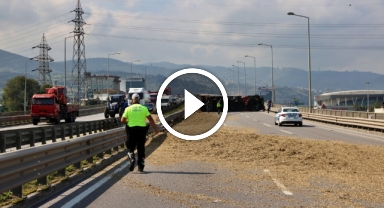 Seyir halindeyken arı sokan tır şoförü kaza yaptı