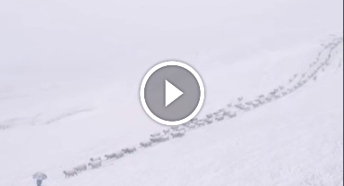 Giresun'da büyük göç başladı!