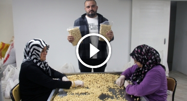 Giresun fındığında hasat ve kurutma bitti; kırma, kavurma ve paketleme dönemi başladı   