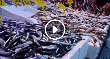 Hamsinin tezgâha geç gelmesi balıkçıları endişelendiriyor