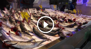 Havalar soğudu, balık tezgahlarına bereket geldi