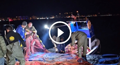 Karadeniz'de balık bolluğu: Vatandaş balığa doydu