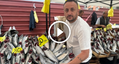 Karadeniz'de palamut bereketi fiyatlara yansıdı