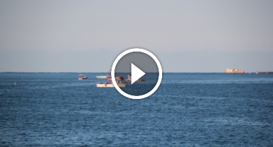 Karadeniz'deki hava şartları balık fiyatlarını etkiledi