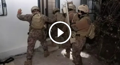 Bakan Yerlikaya duyurdu! Giresun dahil son 3 haftadaki uyuşturucu operasyonlarında 2587 kişi  gözaltına alındı