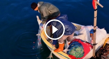 Balıkçılar ekmeklerini tutkunu oldukları denizden çıkarıyor