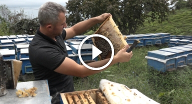 Doktoradan ve öğretmenlikten vazgeçip arıcılıkla yeni bir hayat kurdu