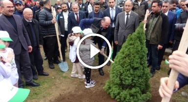 Giresun'da 1 milyon fidan toprakla buluştu