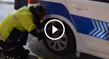 Giresun'da ekipler seferber oldu… Polis aracına giren kedi böyle kurtarıldı