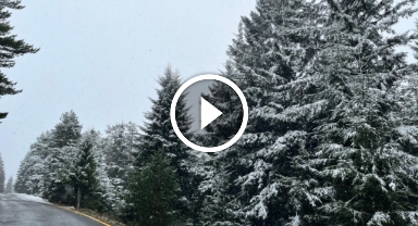 Giresun'da Kar Bereketi! 