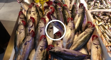 Palamut tezgahlardaki yerini hamsiye bırakıyor   