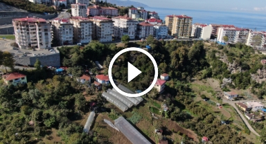 Şehir Merkezinde Organik Tarım