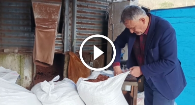 Giresun'da, odun yerine kullanılan fındık kabuğunda fiyatlar düştü