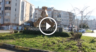 Giresun'un Simgesi Fındık, Şehri Süsleyecek