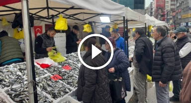 İstavritin Bolluğu Balık Fiyatlarını Düşürdü