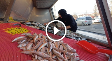 Karadeniz'deki bolluk tezgahlara da yaradı