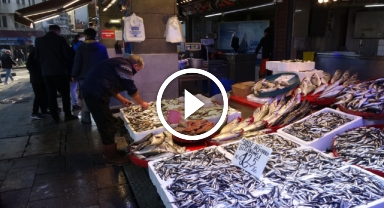 Tezgahlarda hamsi ve istavrit bolluğu