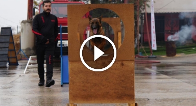 Afetlerde umut ışığı: Hera ve kızı İglo'nun eğitimi göz dolduruyor