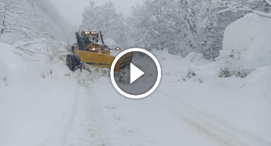 Doğu Karadeniz'deki Yoğun Kar Yağışı: 338 Köy Yolu Ulaşıma Kapandı