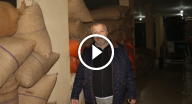 Giresun'da Fındık Tüccarlarının Serbest Piyasada 2025 Yılı Fiyat Beklentileri Neler?